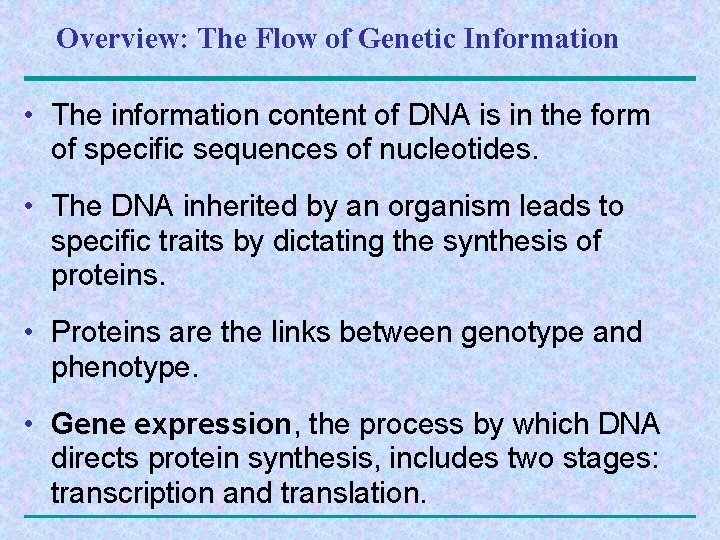 Overview: The Flow of Genetic Information • The information content of DNA is in
