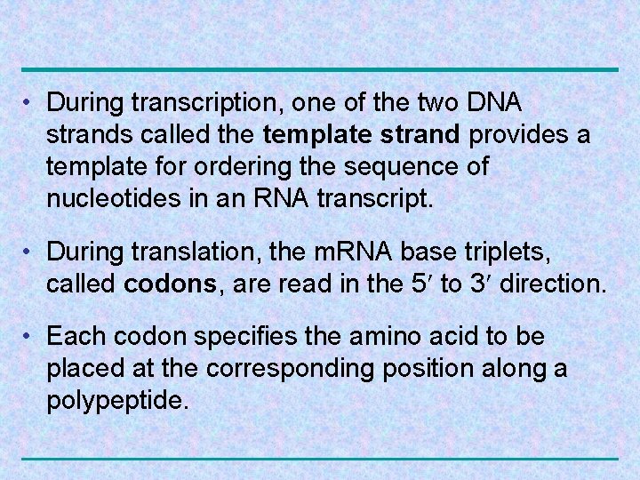  • During transcription, one of the two DNA strands called the template strand