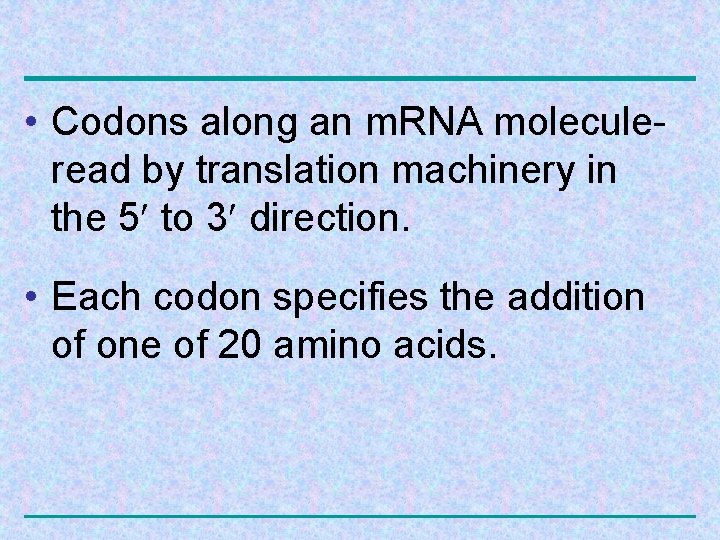  • Codons along an m. RNA moleculeread by translation machinery in the 5