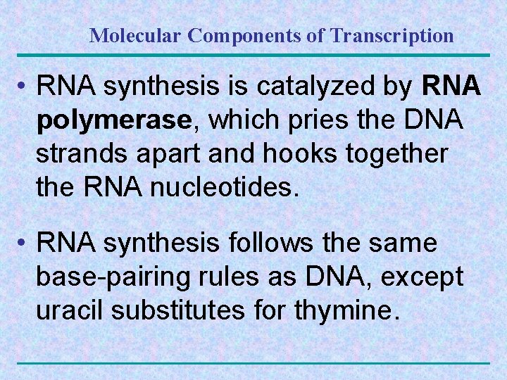 Molecular Components of Transcription • RNA synthesis is catalyzed by RNA polymerase, which pries