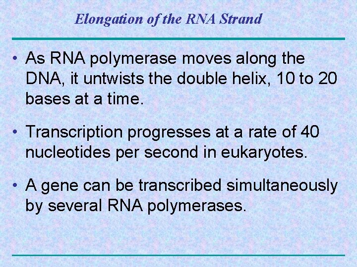Elongation of the RNA Strand • As RNA polymerase moves along the DNA, it