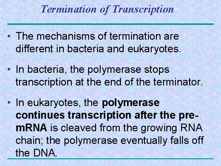 Termination of Transcription • The mechanisms of termination are different in bacteria and eukaryotes.