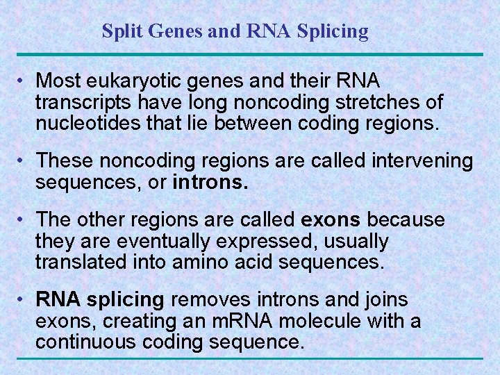 Split Genes and RNA Splicing • Most eukaryotic genes and their RNA transcripts have