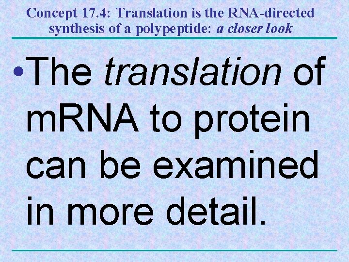 Concept 17. 4: Translation is the RNA-directed synthesis of a polypeptide: a closer look