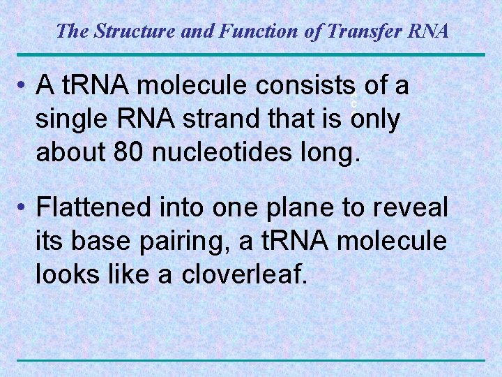 The Structure and Function of Transfer RNA • A t. RNA molecule consists of