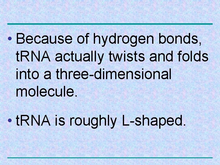  • Because of hydrogen bonds, t. RNA actually twists and folds into a