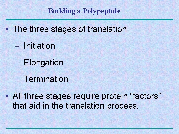 Building a Polypeptide • The three stages of translation: – Initiation – Elongation –
