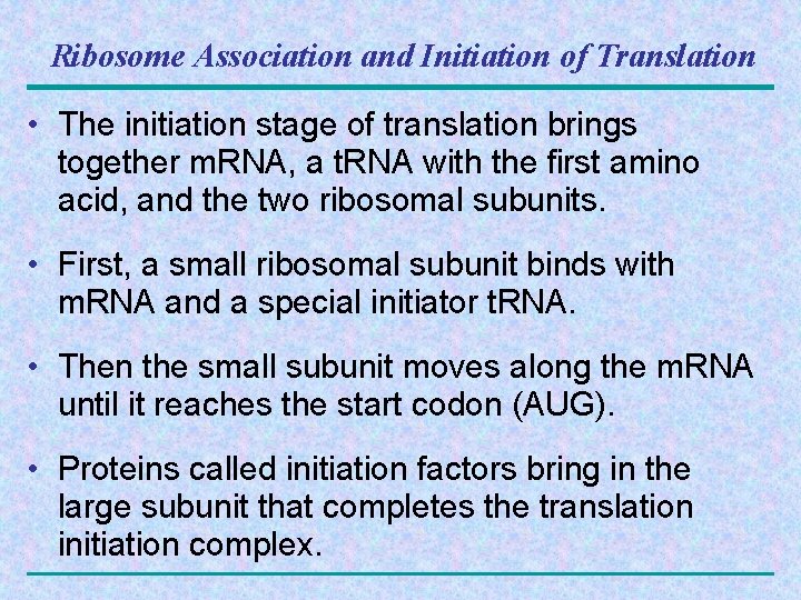 Ribosome Association and Initiation of Translation • The initiation stage of translation brings together