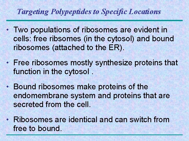 Targeting Polypeptides to Specific Locations • Two populations of ribosomes are evident in cells: