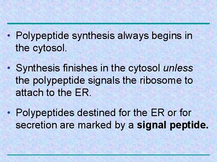  • Polypeptide synthesis always begins in the cytosol. • Synthesis finishes in the