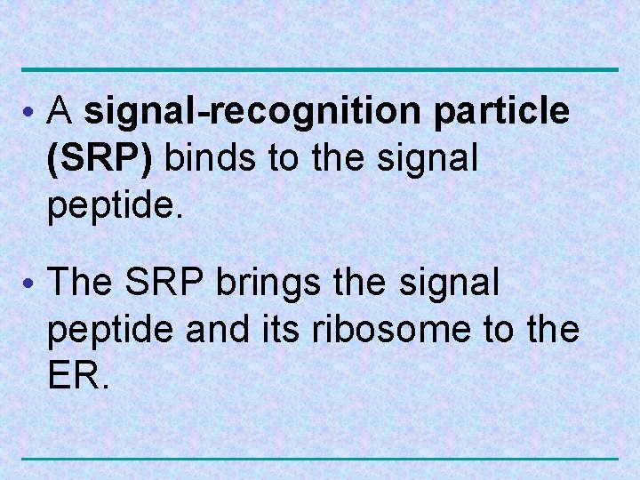  • A signal-recognition particle (SRP) binds to the signal peptide. • The SRP