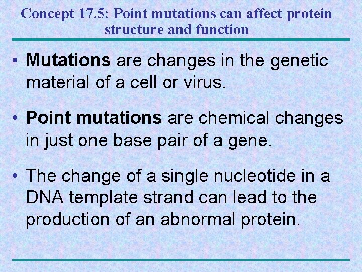 Concept 17. 5: Point mutations can affect protein structure and function • Mutations are