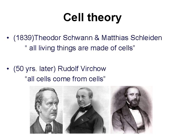 Cell theory • (1839)Theodor Schwann & Matthias Schleiden “ all living things are made