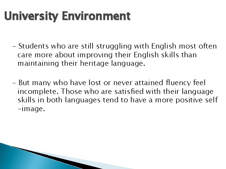 University Environment - Students who are still struggling with English most often care more