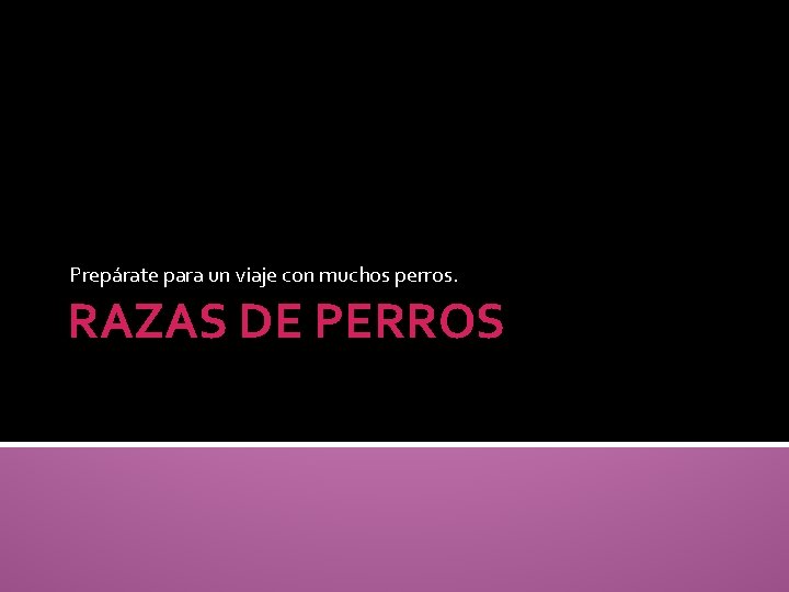 Prepárate para un viaje con muchos perros. RAZAS DE PERROS 