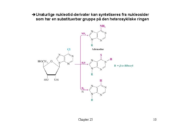 èUnaturlige nukleotid-derivater kan syntetiseres fra nukleosider som har en substituerbar gruppe på den heterosykliske