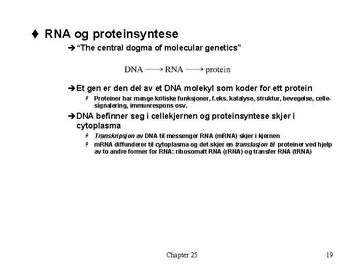 t RNA og proteinsyntese è“The central dogma of molecular genetics” èEt gen er den