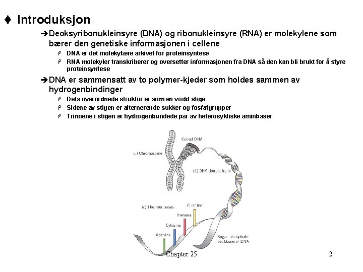 t Introduksjon èDeoksyribonukleinsyre (DNA) og ribonukleinsyre (RNA) er molekylene som bærer den genetiske informasjonen