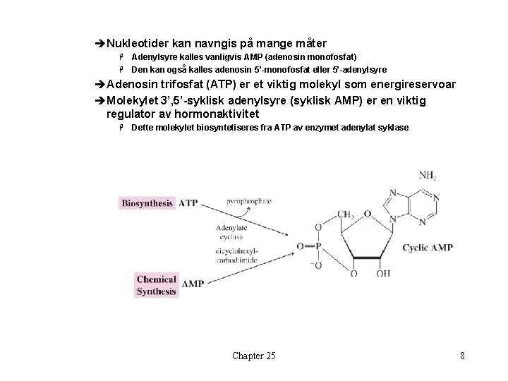 èNukleotider kan navngis på mange måter Adenylsyre kalles vanligvis AMP (adenosin monofosfat) H Den