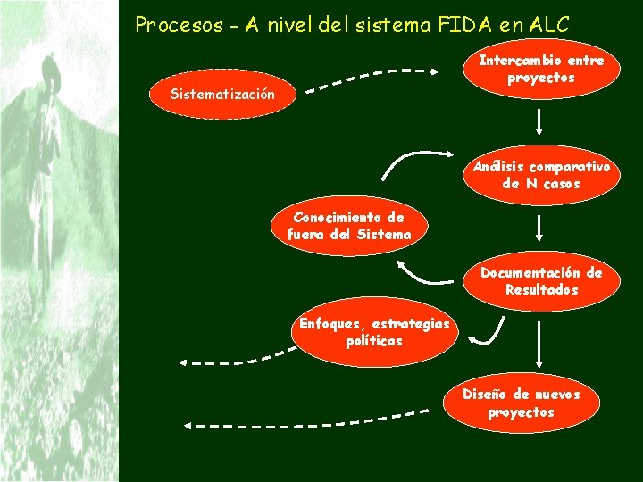 Procesos - A nivel del sistema FIDA en ALC Intercambio entre proyectos Sistematización Análisis