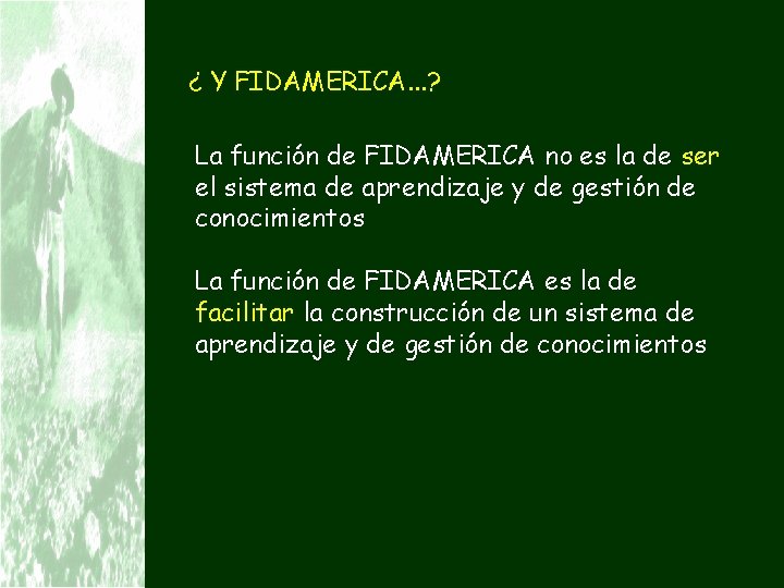 ¿ Y FIDAMERICA. . . ? La función de FIDAMERICA no es la de