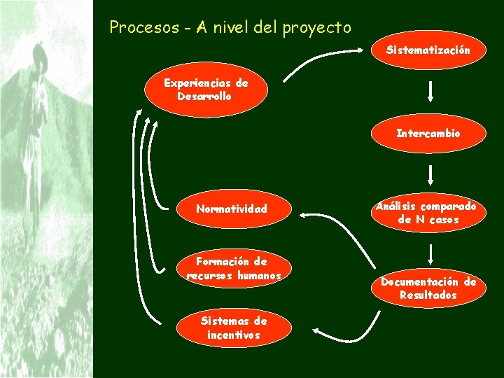 Procesos - A nivel del proyecto Sistematización Experiencias de Desarrollo Intercambio Normatividad Formación de