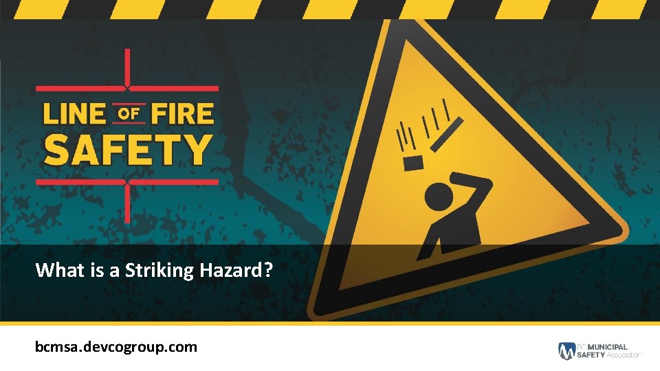 bcmsa. devcogroup. com What is a Striking Hazard? bcmsa. devcogroup. com 