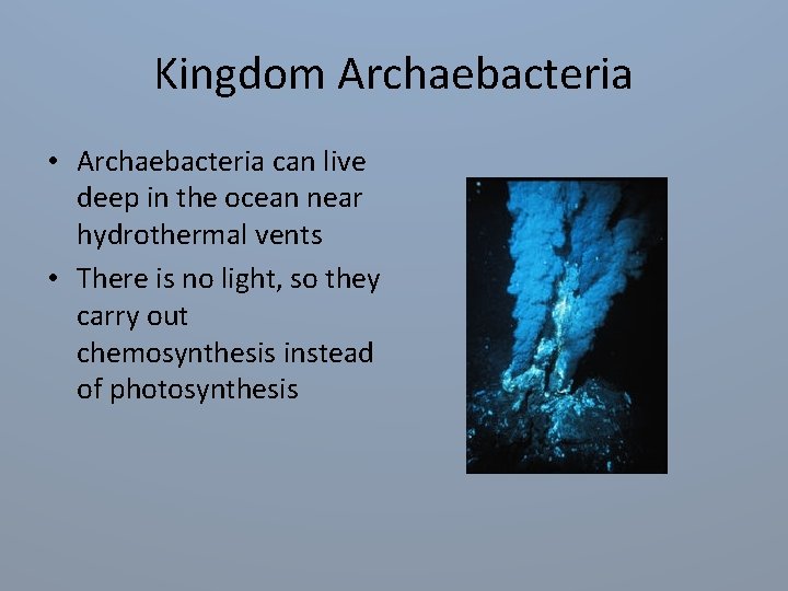 Kingdom Archaebacteria • Archaebacteria can live deep in the ocean near hydrothermal vents •