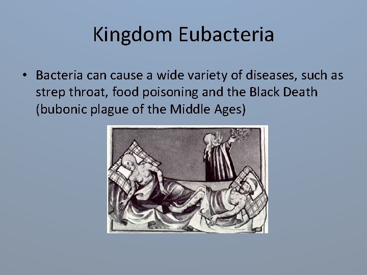 Kingdom Eubacteria • Bacteria can cause a wide variety of diseases, such as strep