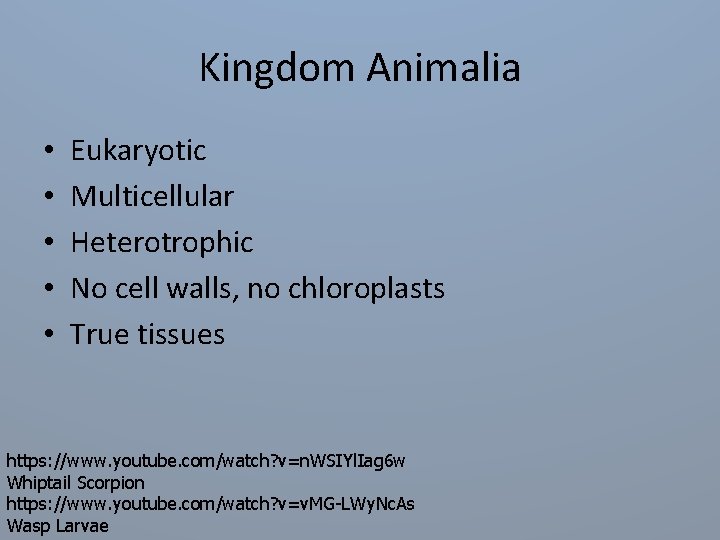 Kingdom Animalia • • • Eukaryotic Multicellular Heterotrophic No cell walls, no chloroplasts True