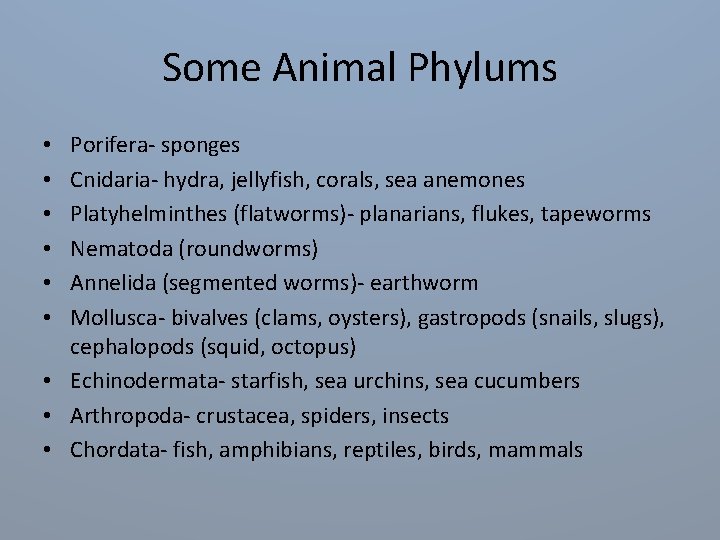 Some Animal Phylums Porifera- sponges Cnidaria- hydra, jellyfish, corals, sea anemones Platyhelminthes (flatworms)- planarians,