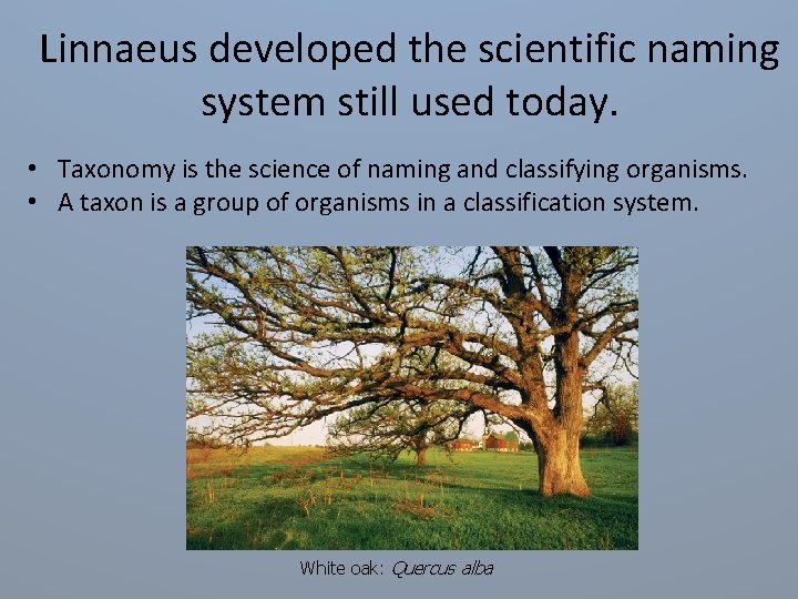 Linnaeus developed the scientific naming system still used today. • Taxonomy is the science