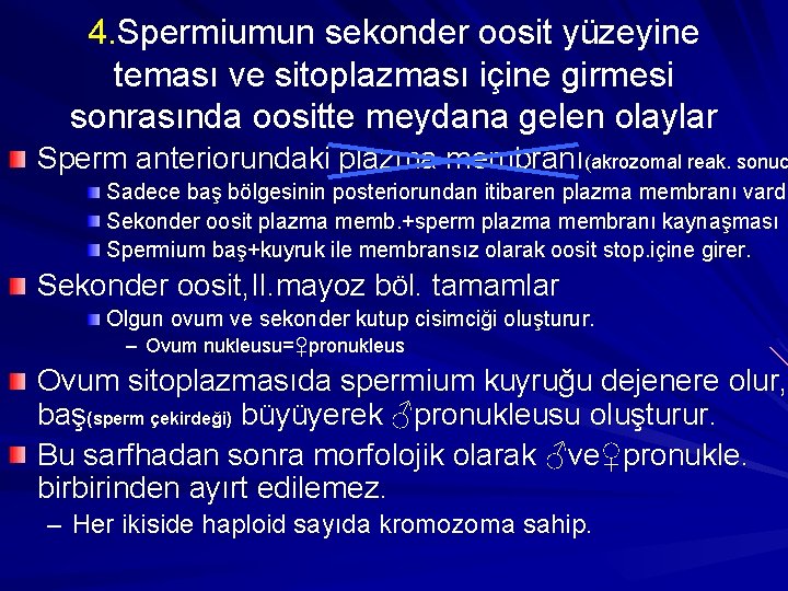 4. Spermiumun sekonder oosit yüzeyine teması ve sitoplazması içine girmesi sonrasında oositte meydana gelen