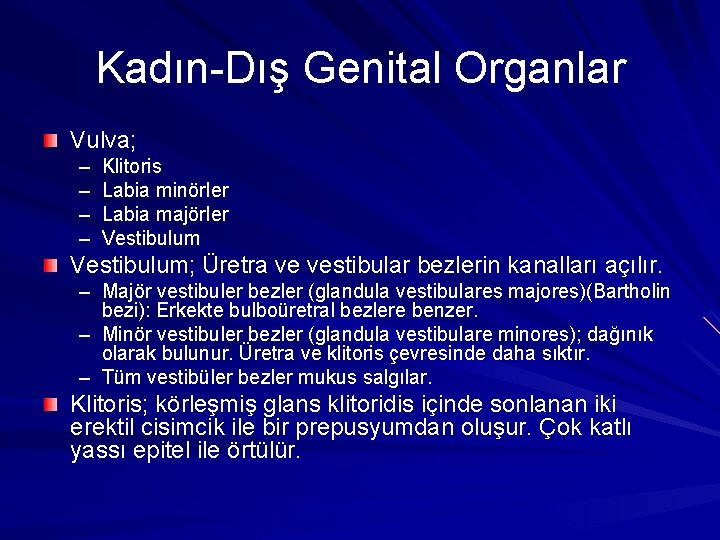 Kadın-Dış Genital Organlar Vulva; – – Klitoris Labia minörler Labia majörler Vestibulum; Üretra ve