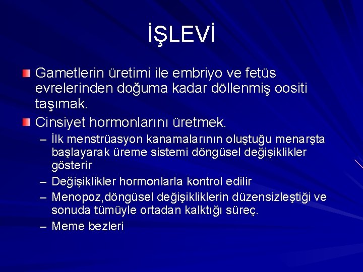 İŞLEVİ Gametlerin üretimi ile embriyo ve fetüs evrelerinden doğuma kadar döllenmiş oositi taşımak. Cinsiyet