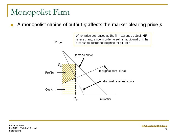 Monopolist Firm n A monopolist choice of output q affects the market-clearing price p