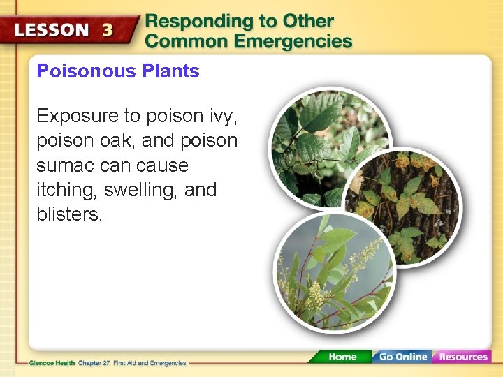 Poisonous Plants Exposure to poison ivy, poison oak, and poison sumac can cause itching,