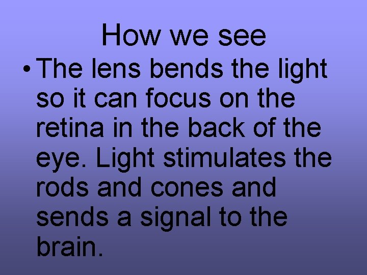 How we see • The lens bends the light so it can focus on