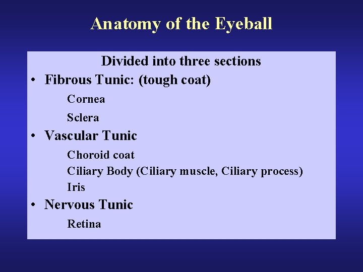 Anatomy of the Eyeball Divided into three sections • Fibrous Tunic: (tough coat) Cornea