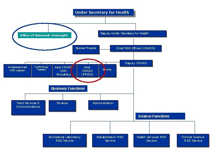 Under Secretary for Health Deputy Under Secretary for Health Office of Research Oversight Special