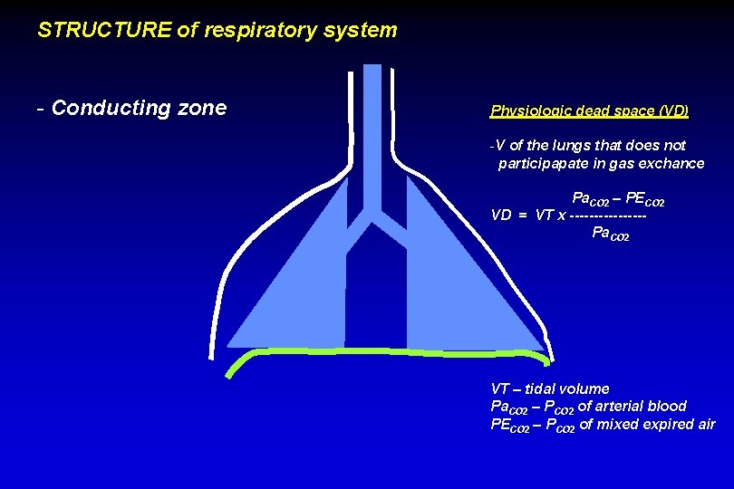 STRUCTURE of respiratory system - Conducting zone Physiologic dead space (VD) -V of the