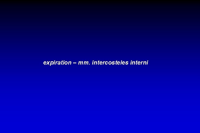 expiration – mm. intercosteles interni 