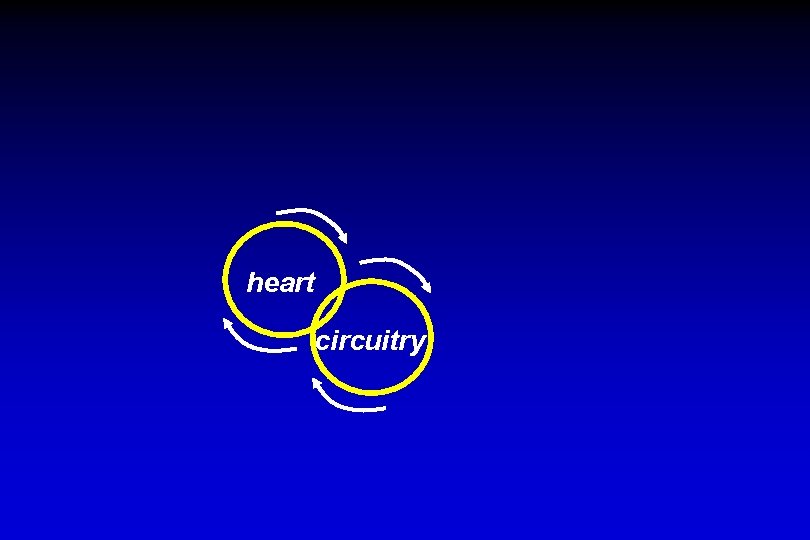 heart circuitry 