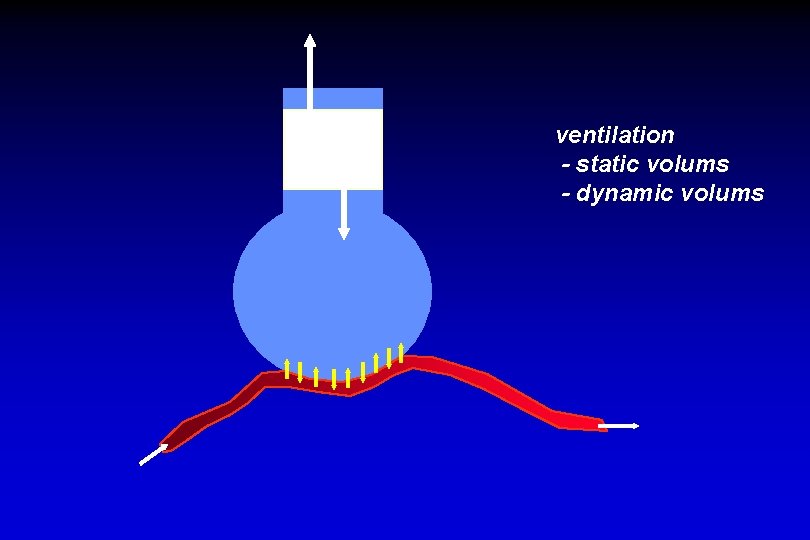 ventilation - static volums - dynamic volums 