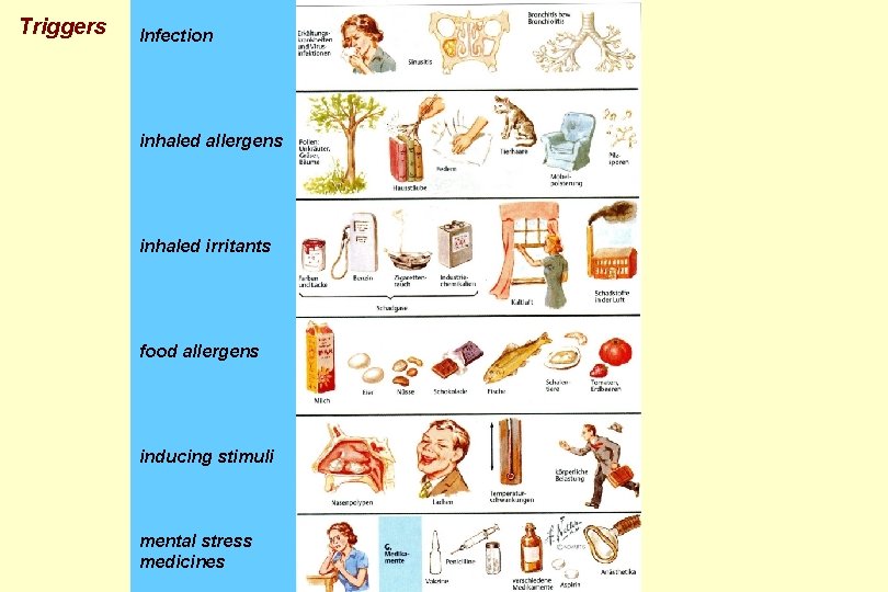 Triggers Infection inhaled allergens inhaled irritants food allergens inducing stimuli mental stress medicines 