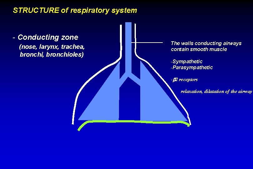 STRUCTURE of respiratory system - Conducting zone (nose, larynx, trachea, bronchioles) The walls conducting