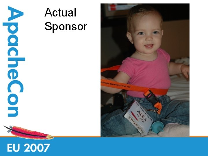 Actual Sponsor 