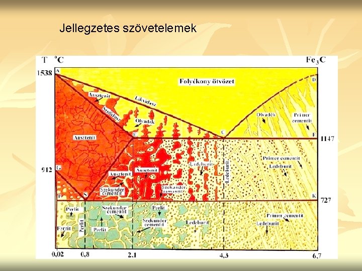 Jellegzetes szövetelemek 