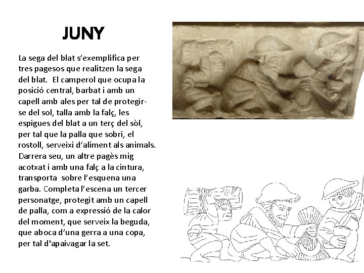 JUNY La sega del blat s’exemplifica per tres pagesos que realitzen la sega del