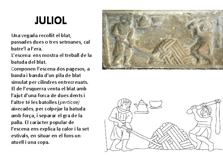 JULIOL Una vegada recollit el blat, passades dues o tres setmanes, cal batre’l a
